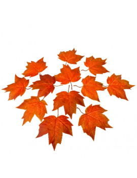 FEUILLES ERABLE ORANGE...