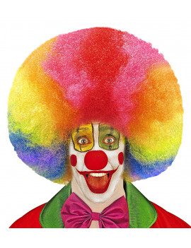 PERRUQUE CLOWN