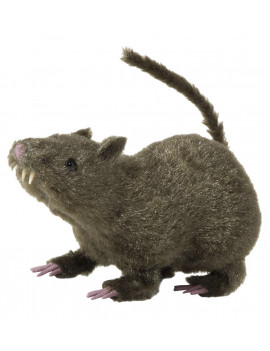 RAT POILU 21 cm