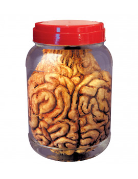 LABORATORY JAR WITH BRAIN